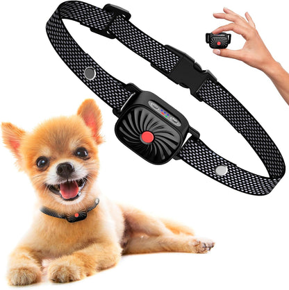 Antibellhalsband für kleine Hunde – Effektive Lösung für ruhige Spaziergänge